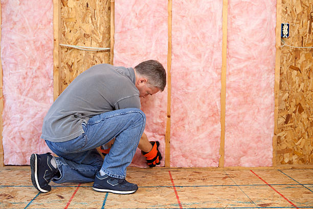 Best Specialized Insulation Services in Lacon, IL