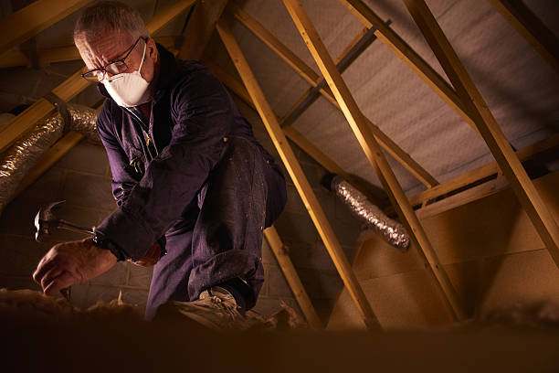 Best Eco-Friendly Insulation in Lacon, IL